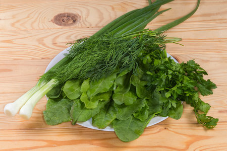 Freshly picked leaves of the garden sorrel, stems of green onion, and bunches of parsley and dill on a white dish on a rustic tableの写真素材