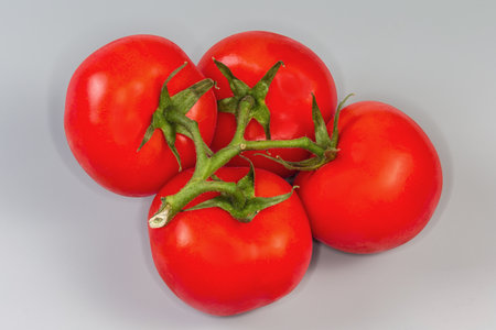 Branch of the ripe red tomatoes on a gray background, close-upの写真素材