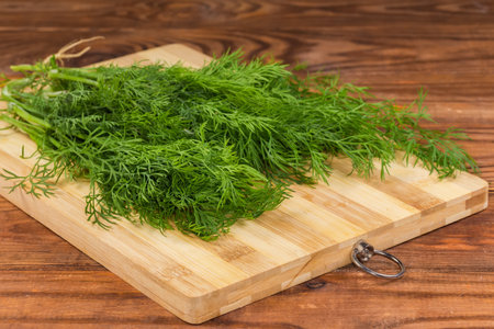 Bunch of the stems of young freshly harvested dill on a wooden cutting board on an old rustic table, close-up in selective focusの写真素材