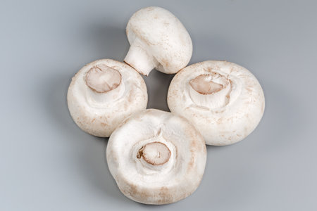 Several whole fresh raw button mushrooms on a gray surface close-upの写真素材