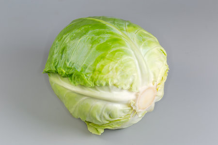 Whole head of the young white cabbage on a gray backgroundの写真素材