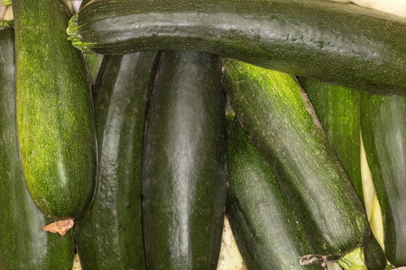 Heap of the raw freshly harvested young dark green zucchini, top viewの写真素材