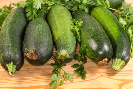 Freshly harvested whole green zucchini among the fresh parsley twigs on the rustic table, side view close-up in selective focusの写真素材