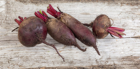 Freshly harvested young red beetroots round and oblong shape with roots and part of stems on the old cracked wooden plank, panoramic viewの写真素材