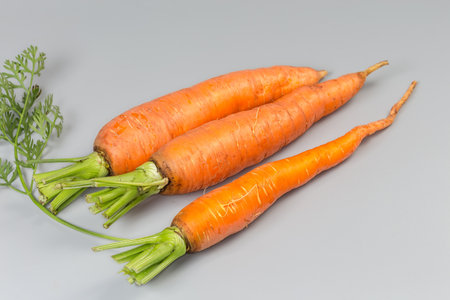 Three washed fresh young carrots with parts of stems and leaves on a gray background, close-up inselective focusの写真素材