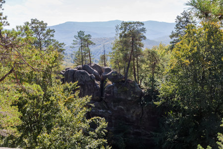 High isolated rocky ledge of sandstone with steep vertical sides in forest with growing pines on topの写真素材