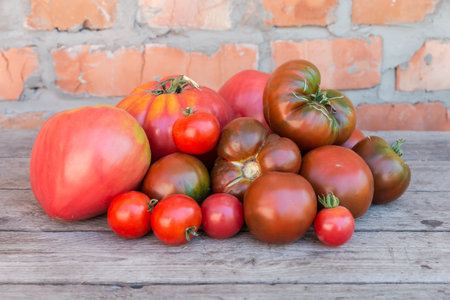 Heap of whole ripe organic ribbed and ordinary tomatoes kumato, big pink and cherry tomatoes on the old rough wooden surface against the brick wallの写真素材