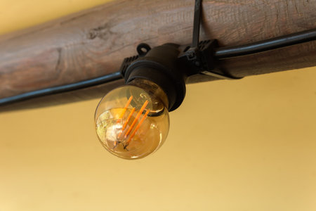 Turned off LED Edison lamp of attractive design in retro style in glass bulb with led filaments screwed in the cartridge fixed on a wooden logの写真素材