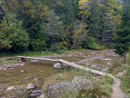 Narrow shaky wooden footbridge over the small mountain river at autumn dayの写真素材