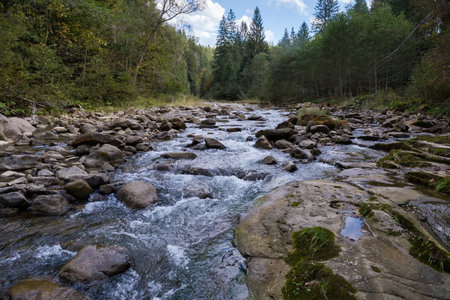 Small mountain river with forest on banks in autumn overcast dayの写真素材
