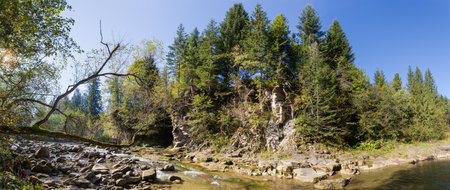 Small mountain river with steep rocky bank overgrown with spruces in autumn morning, panoramic viewの写真素材