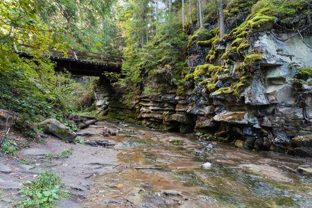 Small mountain stream leaking in canyon-like valley with steep rocky banks overgrown with moss and wooden bridge in autumn overcast dayの写真素材
