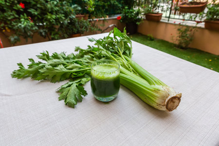 Fresh stem of celery with leaves and glass of freshly squeezed celery juice on the small table covered with white tablecloth on a summer terraceの写真素材