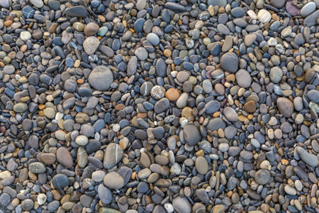 Wet pebble on a sea beach in overcast morning, top viewの写真素材