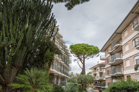 Fragment of a Mediterranean provincial town with multi-story buildings among the subtropical vegetation in overcast weatherの写真素材