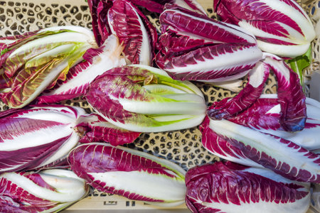 Dark red radicchio with white veins, also known as Italian chicory, variety with elongated heads in plastic vegetables container for sale in a vegetable marketの写真素材