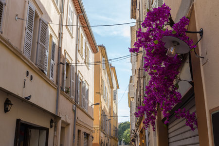 Ornamental climbing plants with pink flowers growing in flower pot which hanging on a building wall on a narrow street of old townの写真素材