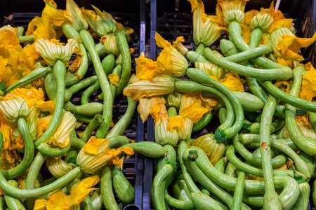 Raw freshly harvested young zucchini Romanenca, also known as zucchini carom with yellow flowers in two plastic vegetable containers for sale in a vegetable marketの写真素材