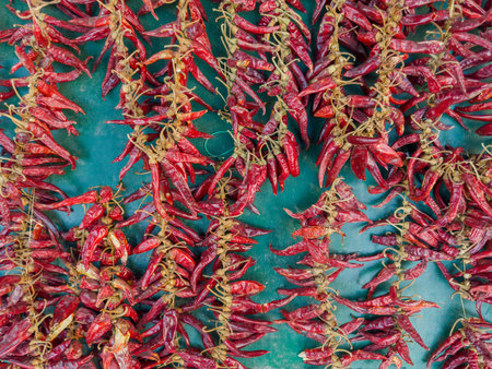 Dry-cured pods of the red pepper chili stringed on the several threads for sale lie on a green surface in a vegetable market in overcastの写真素材