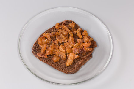 Open sandwich with brown bread and seasoned cracklings obtained from duck fat and skin slices on a glass saucer on a gray backgroundの写真素材