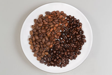 Roasted coffee beans light brown and dark brown colors respectively of medium and darker degrees of roast separately on one white dish, top view on a gray surfaceの写真素材