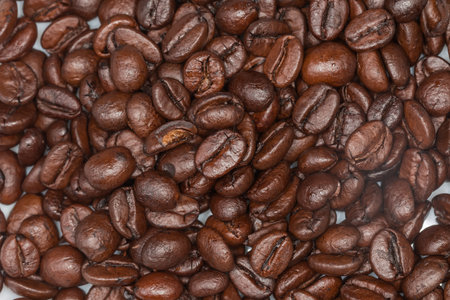 Layer of roasted coffee beans dark brown of darker degrees of roast on a white surface, top view close-upの写真素材