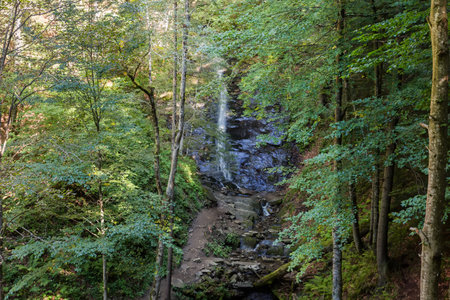 Small high waterfall falling off a rock on a mountain stream in the beech forest at autumn sunny day, top view from opposite slopeの写真素材