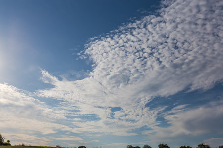 Section of the blue sky with stratocumulus floccus clouds over the field and tree tops silhouettes at summer sunny dayの写真素材