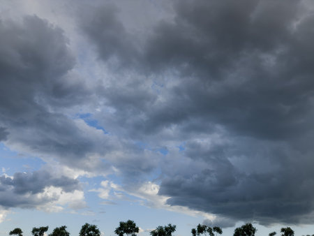 Section of the sky with cumulus and storm clouds over the silhouettes of tops of deciduous trees on horizon at summer eveningの写真素材
