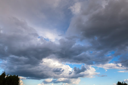 Section of the sky with cumulus and storm clouds over the silhouettes of tops of deciduous trees on horizon at summer eveningの写真素材