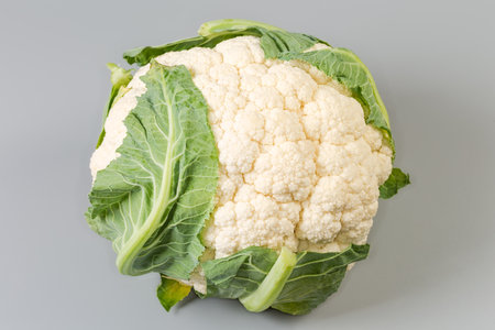 Whole head of the fresh raw cauliflower with some partially cropped leaves close-up on a gray backgroundの写真素材