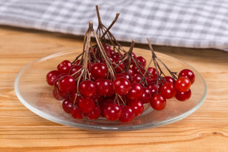 Clusters of the ripe viburnum on a glass saucer on a rustic table, front view close-up in selective focusの写真素材