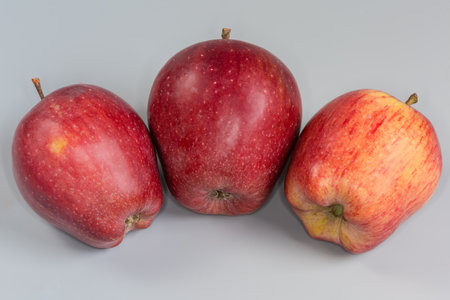 Three whole fresh red apples oblong shape on a gray background close-upの写真素材