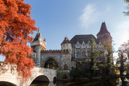 Vajdahunyad Castle of early 20th century in Budapest, view from the side of entrance gate with arched stone bridge and swamp cypress on a foreground at autumn sunny dayの写真素材