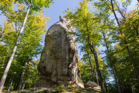 High free-standing rocky outcrop of sandstone with steep vertical sides surrounded by beeches in a mountain forest, bottom view in sunny autumn dayの写真素材