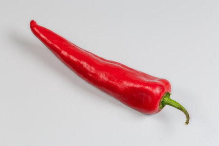 Single ripe red sweet pepper kind in form of a long pod on a gray backgroundの写真素材