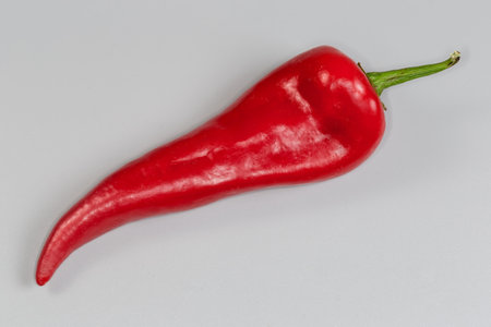 Single ripe red sweet pepper kind of Kapia in form of a long pod, top view on a gray backgroundの写真素材