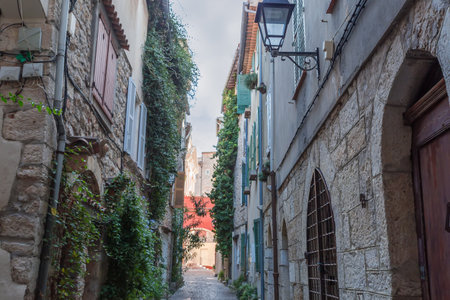 Part of a narrow street decorated with ornamental plants climbing along the walls of the stone multi story buildings in the old town in shadeの写真素材