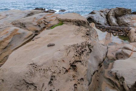 Weathered coastal gray-brown sandstone rocks on a stone coastline against the sea in overcast morningの写真素材