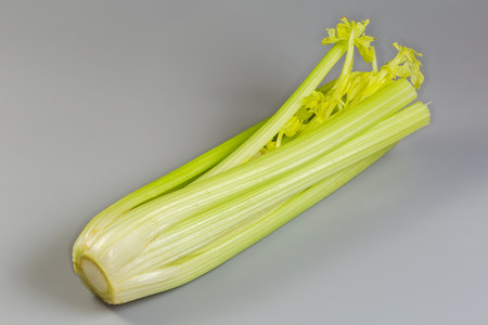 Fresh stems of celery with cropped leaves on a gray backgroundの写真素材
