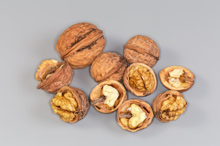 Several dry whole and split walnuts with exposed cores in their shells on a gray backgroundの写真素材