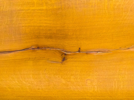 Texture of the polished varnished wooden plank made of cracked knotted oak woodの写真素材