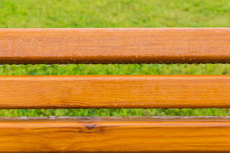 Part of the wet garden bench back made of the varnished natural softwoods planks covered with water drops on a blurred background of grass during a rainの写真素材