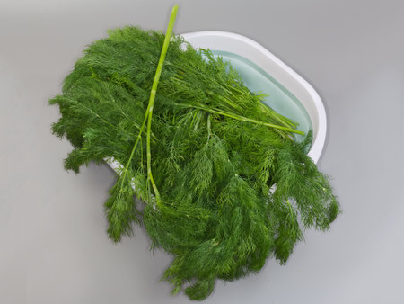 Heap of the stems of freshly picked dill in the big plastic container on a gray background, top viewの写真素材