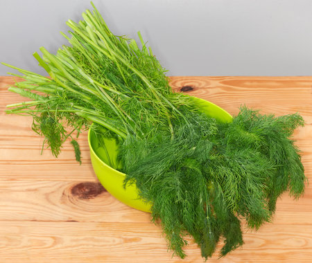 Big bunch of the freshly harvested dill stems in the green plastic kitchen bowl on a wooden rustic tableの写真素材