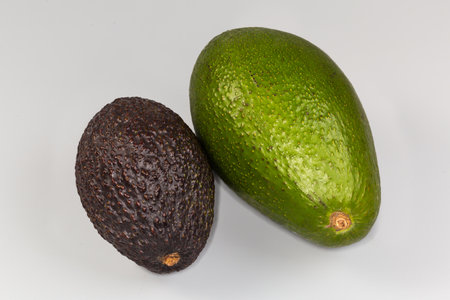 One whole ripe green pear-shaped ordinary avocado and one  avocado Hass variety with bumpy...