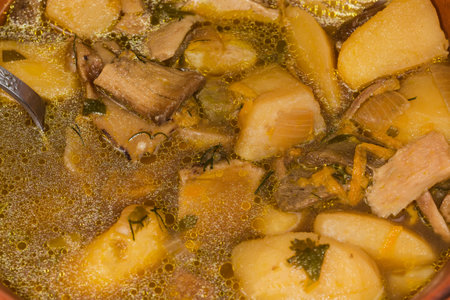 Mushroom soup prepared with previously soaked slices of dried boletus in bowl, fragment close-up in selective focusの写真素材