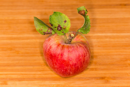 Whole freshly harvested red apple on a small twig with several leaves lies on a wooden cutting...