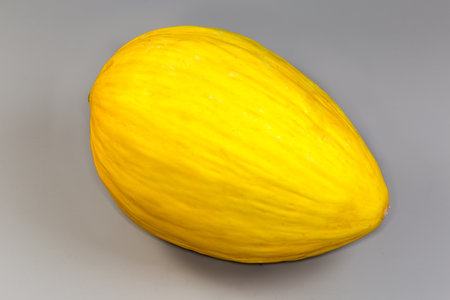 Whole fresh oblongated melon with bright yellow slightly wrinkled skin on a gray backgroundの写真素材