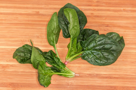 Two stems of freshly harvested washed spinach with roots and dark green leaves on a wooden cutting board, top viewの写真素材